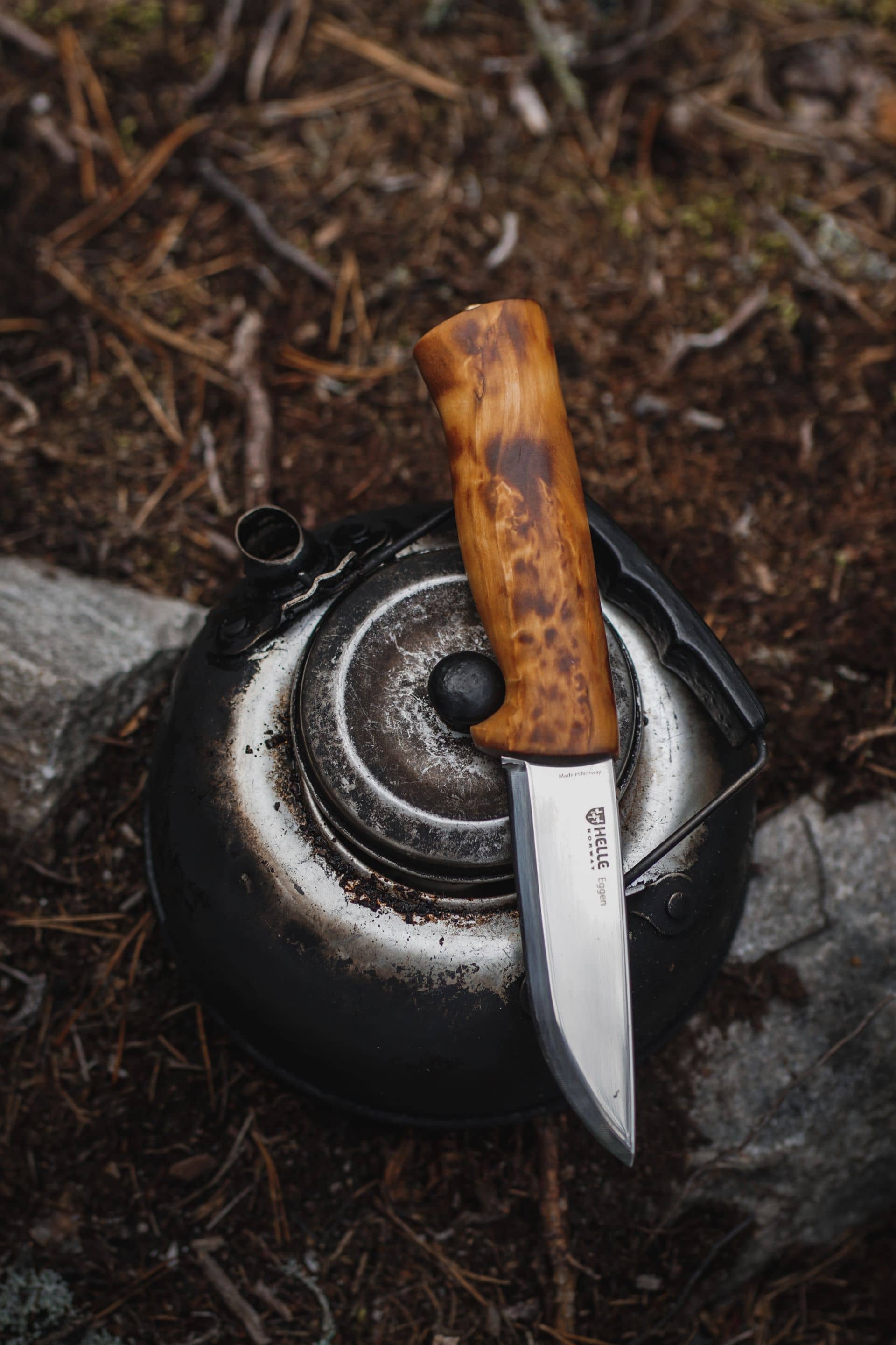 Helle Eggen H3LS