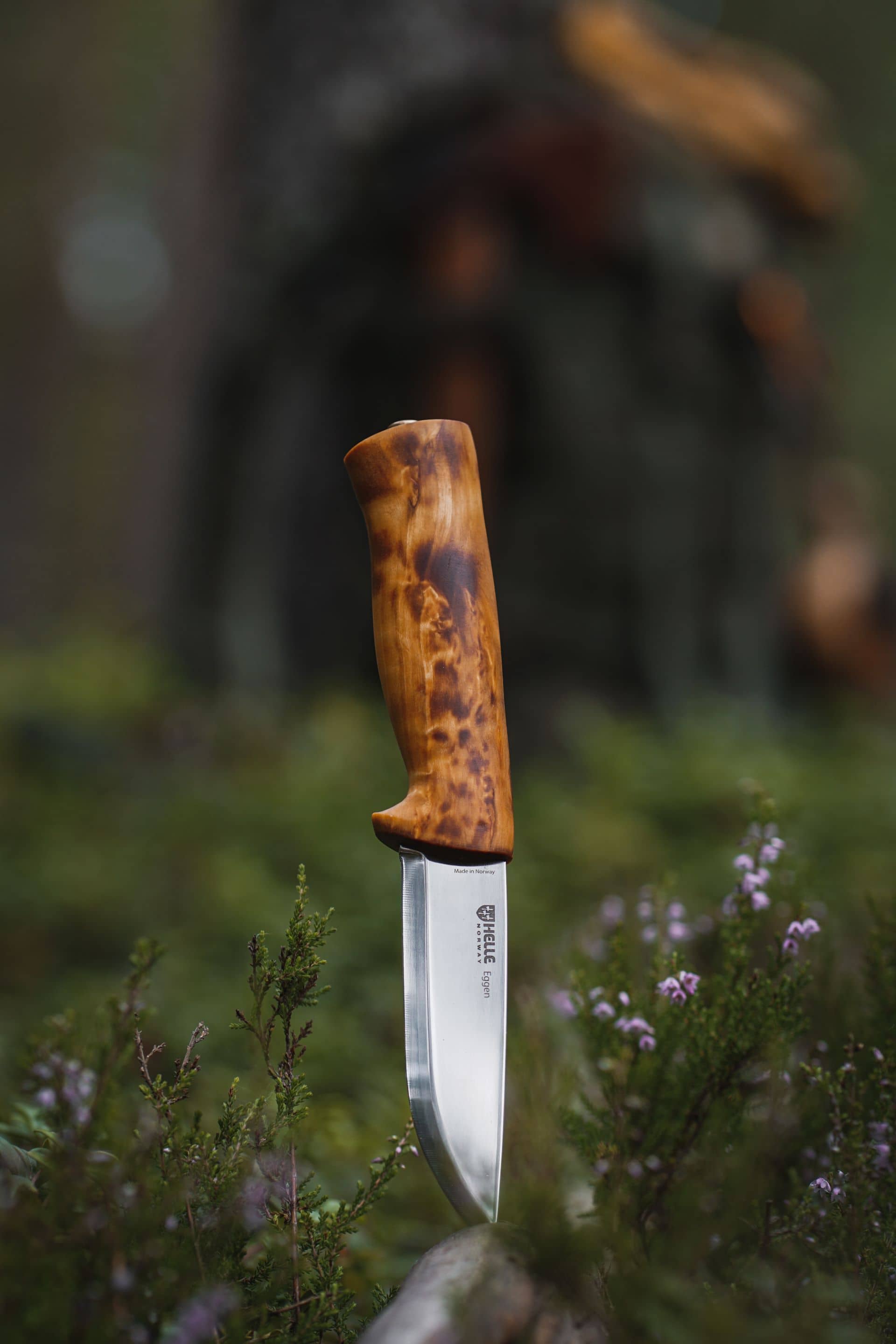Helle Eggen H3LS