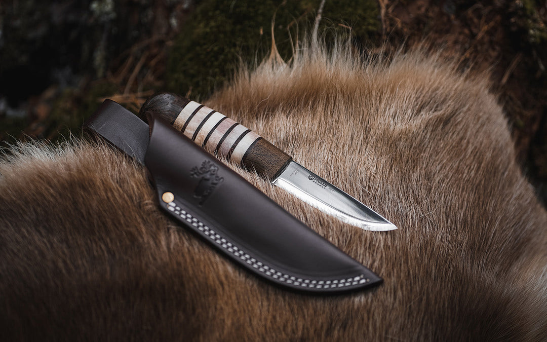 Rein - The 2023 Limited Edition