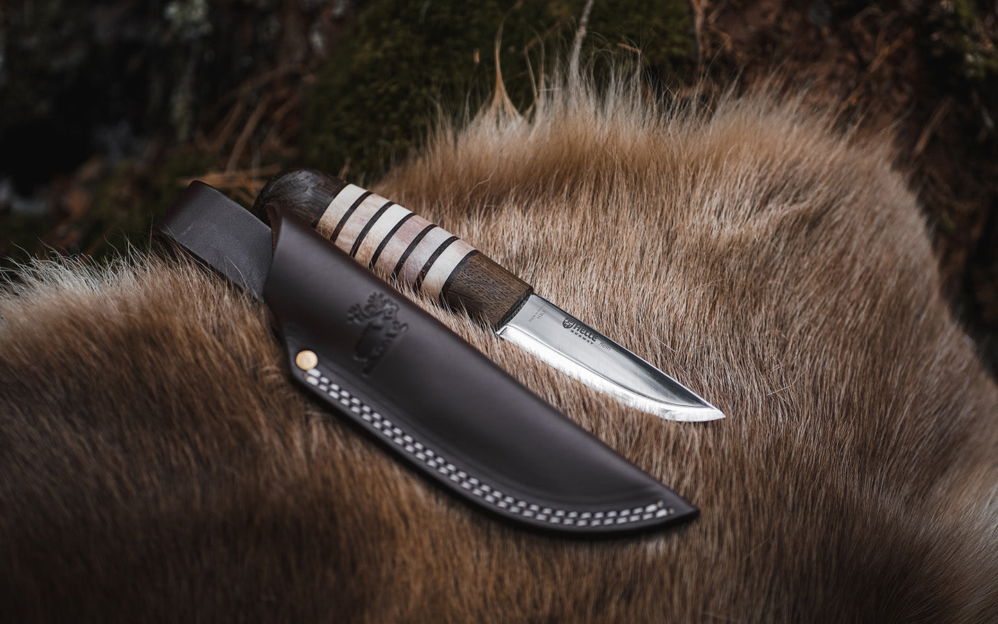 Rein - The 2023 Limited Edition