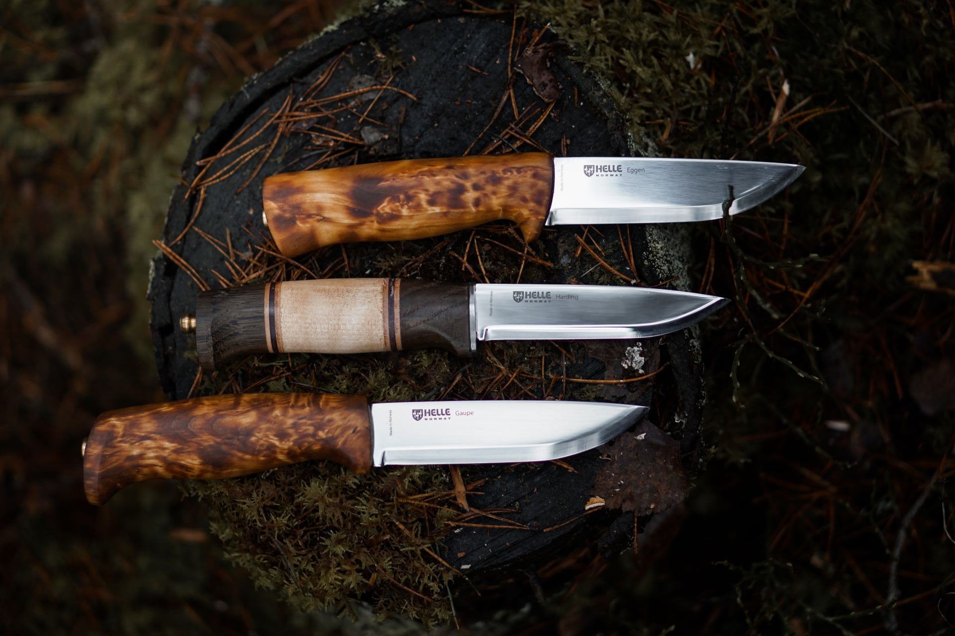 Helle Europe - a life the wild